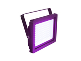 LED IP FL-100 SMD violett