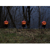 Halloween Kürbisse mit Erdspieß, 3er-Set, 39cm