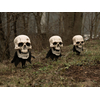 Halloween Totenköpfe mit Erdspieß, 3er-Set, 29cm
