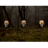 Halloween Totenköpfe mit Erdspieß, 3er-Set, 29cm