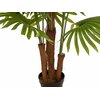 Fächerpalme, Kunstpflanze, 165cm
