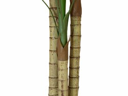 Areca Palme, 3-stämmig, Kunstpflanze, 150cm