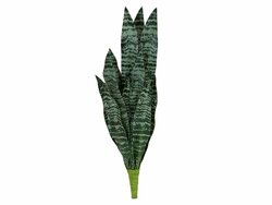 Bogenhanf (EVA), künstlich, grün, 60cm