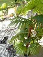 Fächerpalme, Kunstpflanze, 165cm