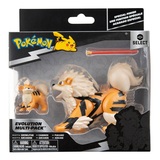 Pokémon Fukano / Arkani 5-8 cm Select Evolution Multipack von BOTI