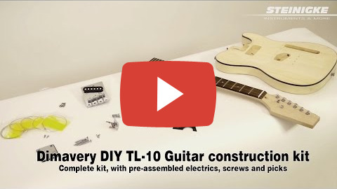 DIY TL-10 Gitarrenbausatz